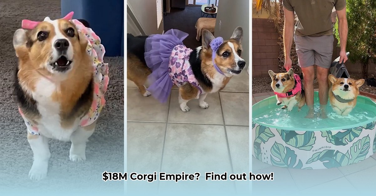 hammy-and-olivia-net-worth